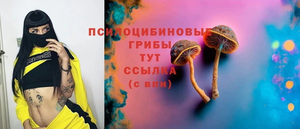 ГАЛЛЮЦИНОГЕННЫЕ ГРИБЫ Верхний Тагил