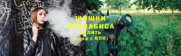 ГАЛЛЮЦИНОГЕННЫЕ ГРИБЫ Верхний Тагил